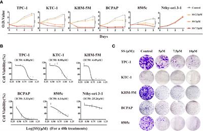 Selenite Induces Cell Cycle Arrest and Apoptosis via Reactive Oxygen Species-Dependent Inhibition of the AKT/mTOR Pathway in Thyroid Cancer